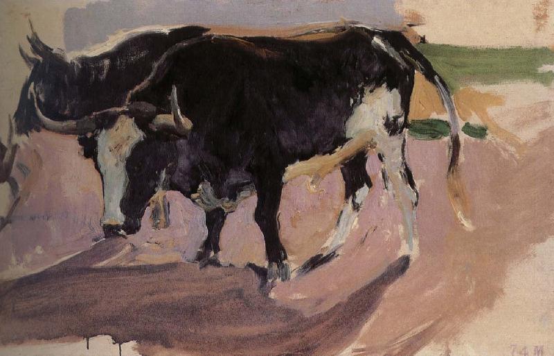 Joaquin Sorolla Bull Project